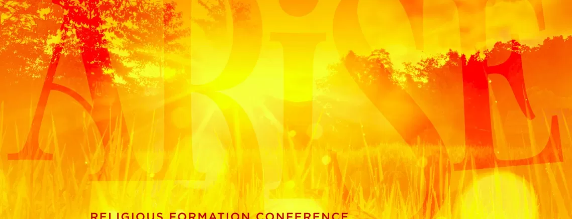 Cover image of ARISE - RFC 2021 Annual Report