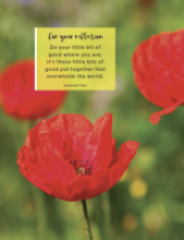 InFormation 2019 Number 2, Summer Image from InFormation 2019 Number 2, Summer