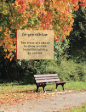 InFormation 2019 Number 3, Fall Image from InFormation 2019 Number 3, Fall