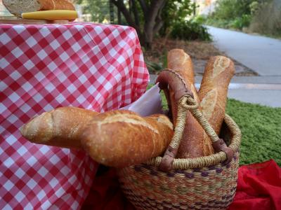 Daily Bread