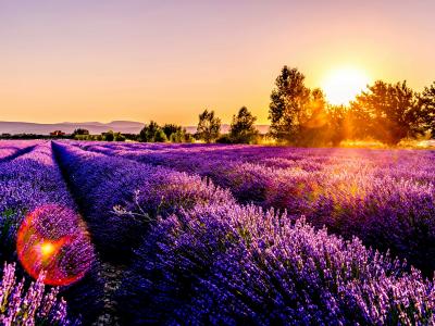 Sunrise in the spring