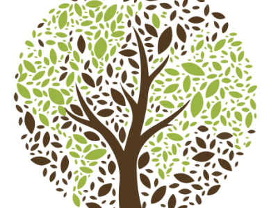 Season of Creation
